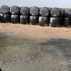 Silage bales