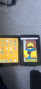 ipad mini 1 and mini 2