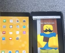 ipad mini 1 and mini 2