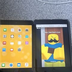 ipad mini 1 and mini 2