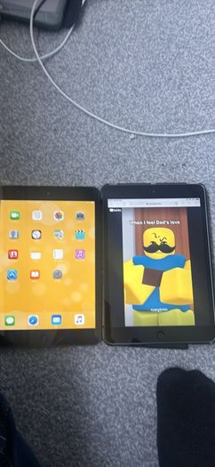 ipad mini 1 and mini 2