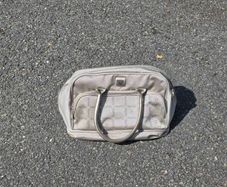 Antler Overnight Travel Bag Luggage