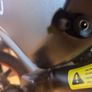 E-Bike Image 6