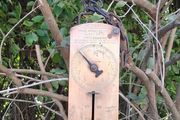 Salter Mid Century Trade Spring Balance