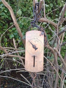 Salter Mid Century Trade Spring Balance
