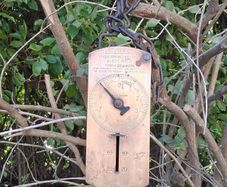 Salter Mid Century Trade Spring Balance