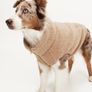 Premium bundle of H and M dog accessories in excellent condition. Perfect for a small dog. Image 6