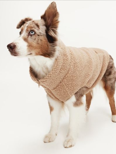 Premium bundle of H and M dog accessories in excellent condition. Perfect for a small dog.