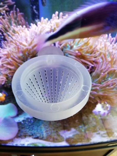 Fish Feeder