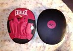 Everlast punch mitts