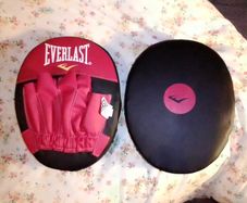 Everlast punch mitts