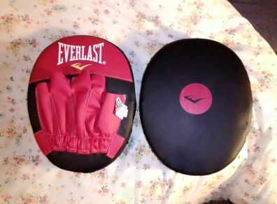Everlast punch mitts