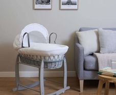 Moses basket