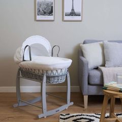 Moses basket