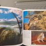 Great Stories of Men and the Animal World 1st ed Image 2