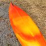 Sea Kayak Image 2