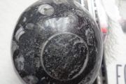 Orthoceras,Fossils,Crystals,