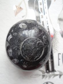 Orthoceras,Fossils,Crystals,