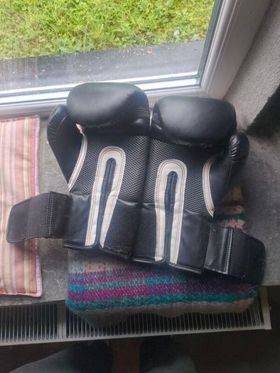 Everlast 16oz Boxing Gloves