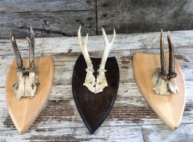 vintage skull