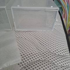 Shoe boxes