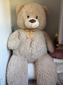Big teddy bear