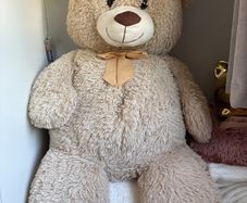 Big teddy bear