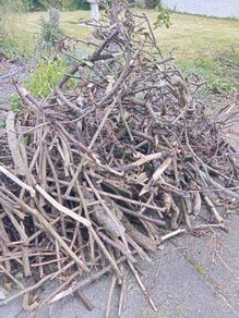 Free firewood