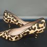 Kitten Heel Dune Leopard-Size 4.5 (37) Image 6