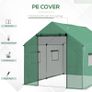 Polyethylene Walk-in Polytunnel Greenhouse, 2 x 3(m), Green Image 5