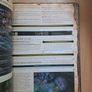 Pillars Of Eternity Collectors Edition Guide Image 8