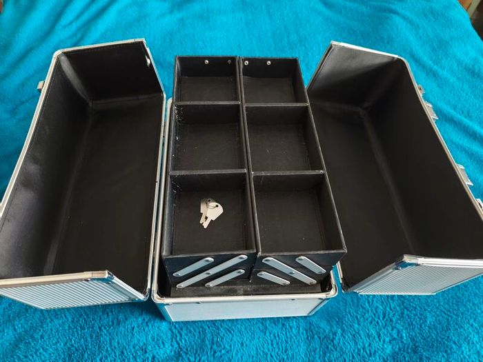 Professional beauty case