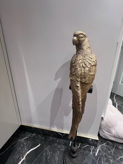 decorative parrot