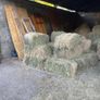Hay Image 4