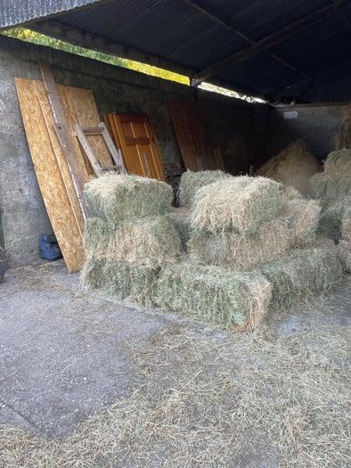 Hay