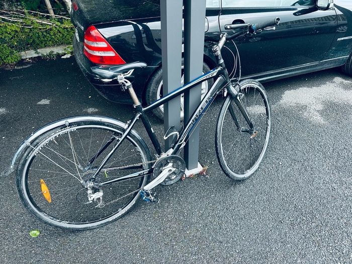 Bike Trek