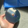 FIFA 24 ps5 game Image 4