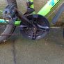 24" Team Mountain Bike (( Very Good Condition 18 speed)) Image 8