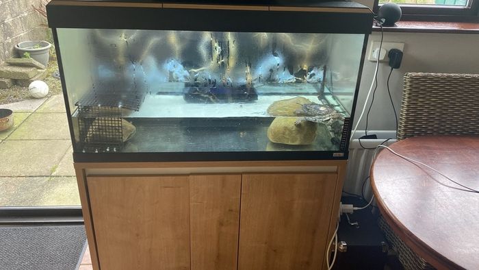 fish tank