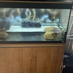 fish tank