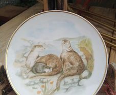 Display plate decor, Otters, Susan Beresford