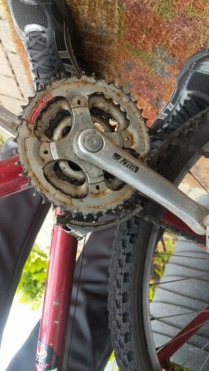Trek with rock shocks