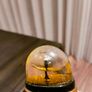 collectable perfume bottle Image 5