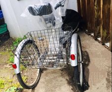 trailer bicycle