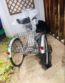 trailer bicycle