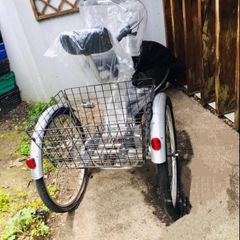 trailer bicycle