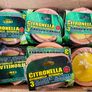 150 Items Mixed Citronella Outdoor Candles - Insect Repellant - Job Lot Image 3