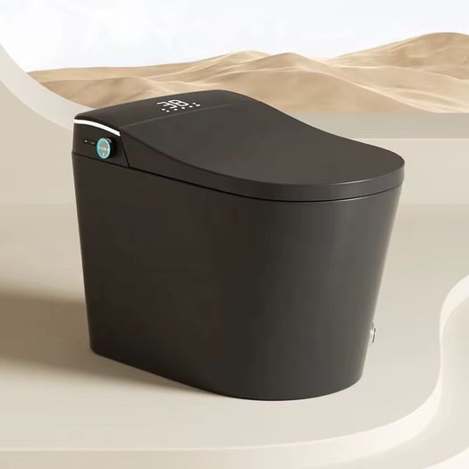 Smart Toilet all in one WC Toilet Bidet
