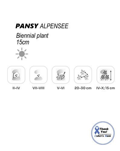 (P) Pansy Alpensee seeds 0.1g (approx. 80 seeds) (420575)
