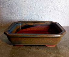 Small Bonsai Pot #8
